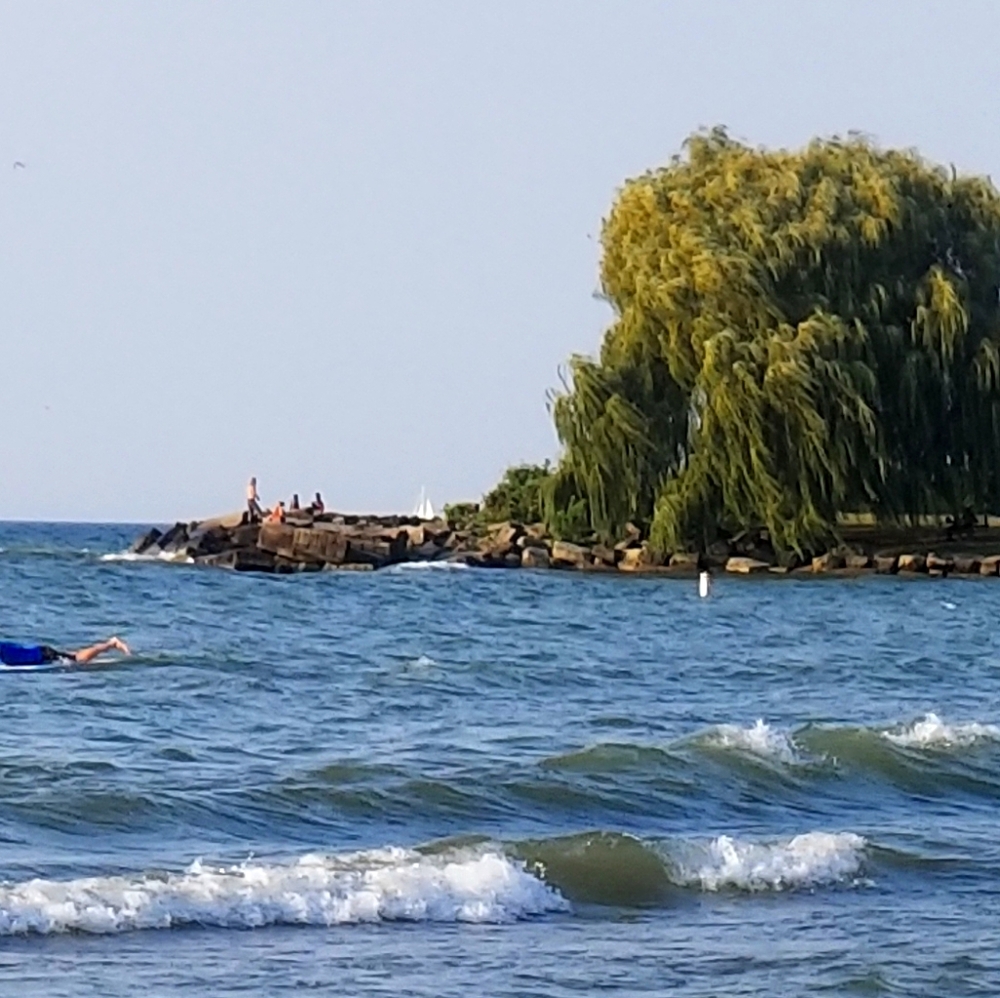 Meet your Posher, Tonya